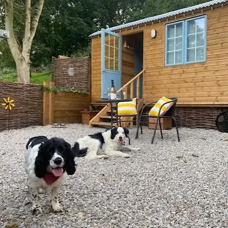 Heron Leap Kamp alanı *