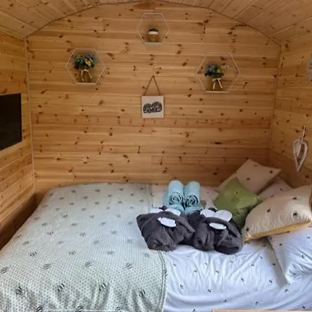 Kamp alanı Heron Leap Knaresborough