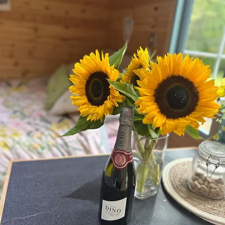 Kamp alanı Heron Leap *