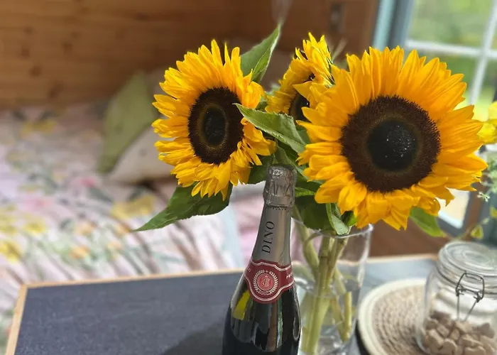 Camping Heron Leap *